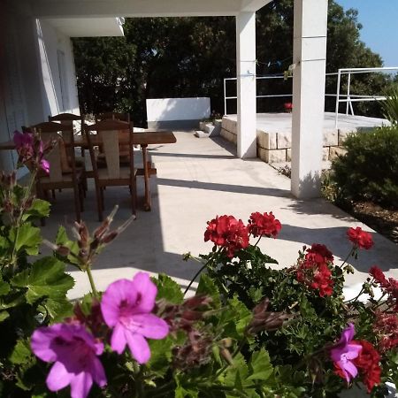 Apartman Laus Zavalatica Bagian luar foto