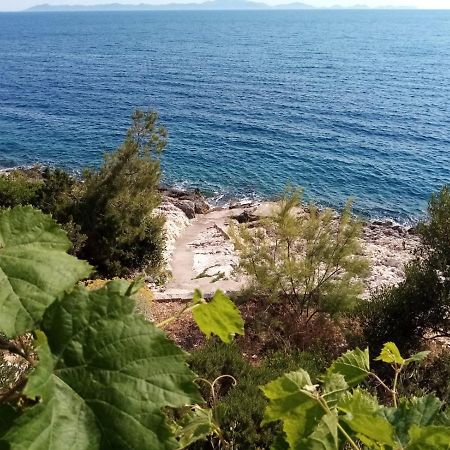 Apartman Laus Zavalatica Bagian luar foto