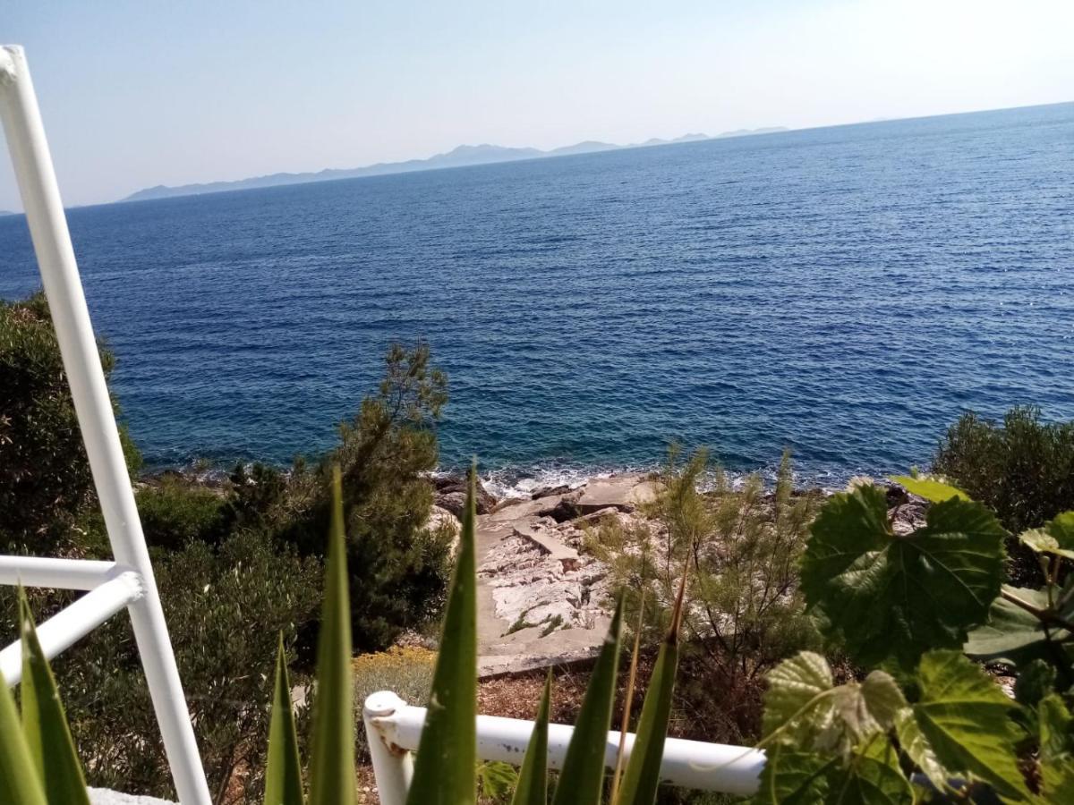 Apartman Laus Zavalatica Bagian luar foto