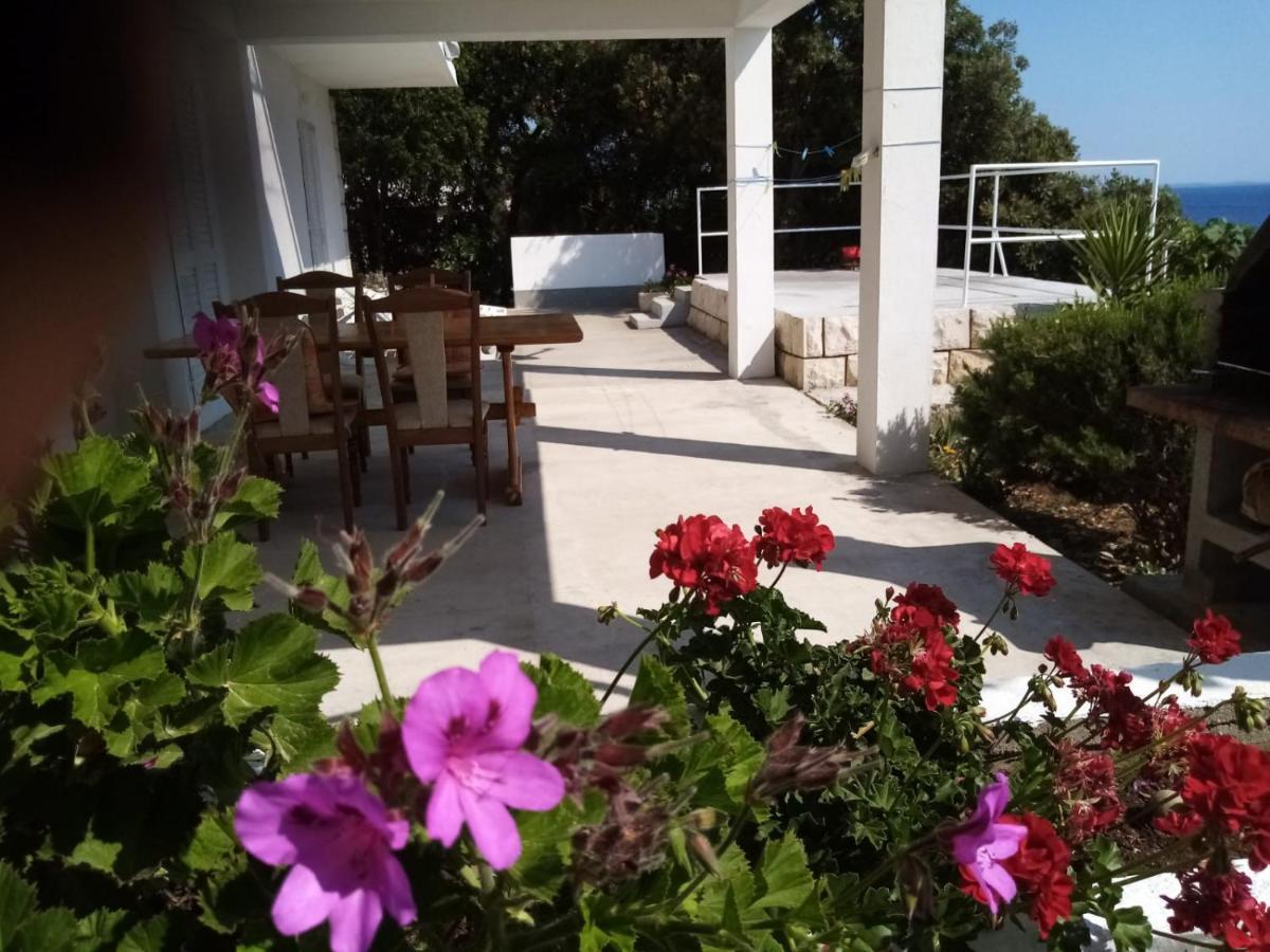 Apartman Laus Zavalatica Bagian luar foto