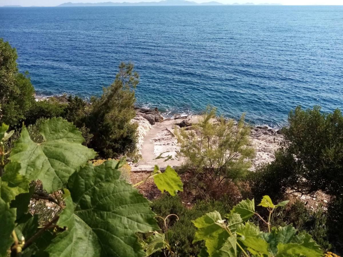 Apartman Laus Zavalatica Bagian luar foto